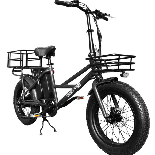 Vélo Fat Bike électrique Cargo – Profil